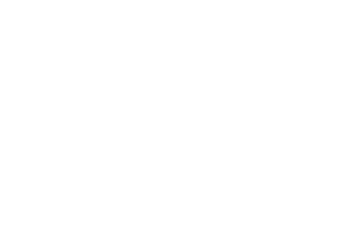 IRJ Home Inspections logo